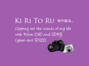 eyecatch_kiritoru eyecatch_kiritoru
